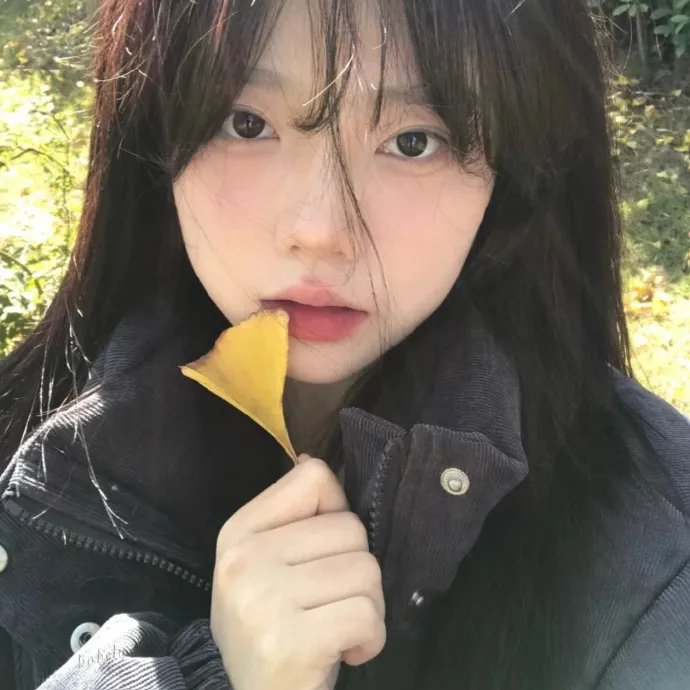离狼之歌